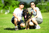 HK-9  Dog Training