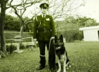 HK-9 Dog Training