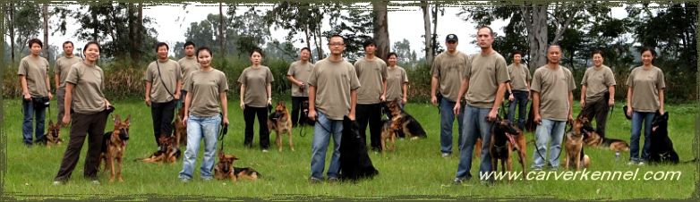 HK-9 Dog Training