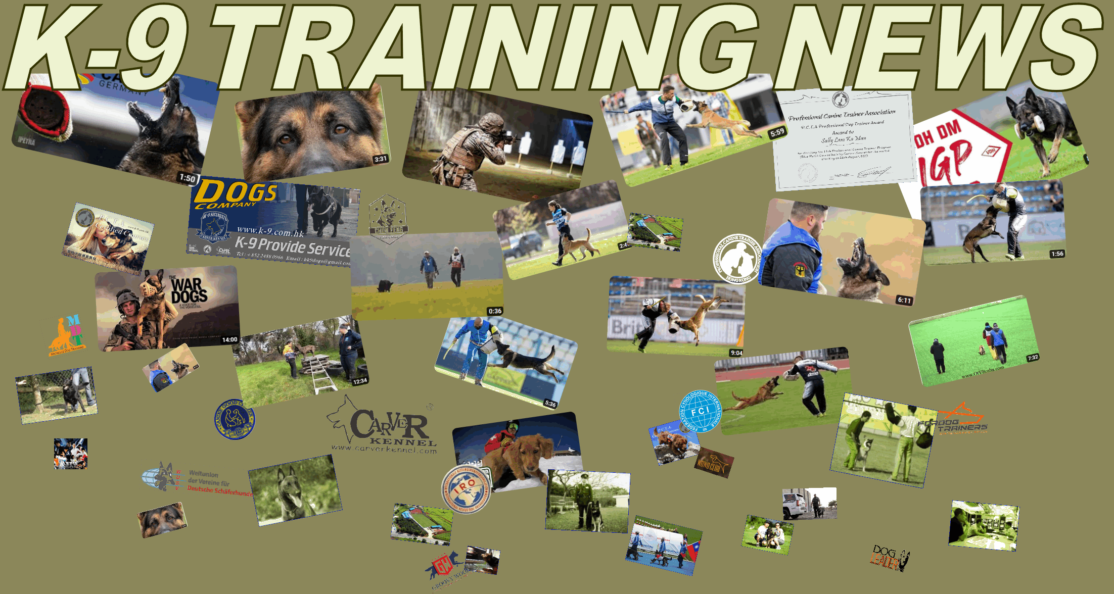 P.C.T.A. Dog Trainer Course